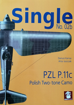 Single No. 02b PZL P.11c - Polish Two-tone Camo