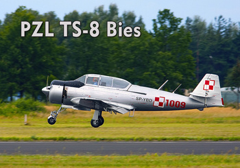 Magnes - Samolot PZL TS-8 Bies