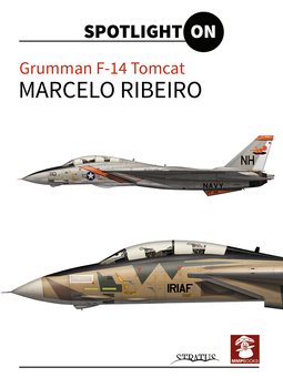 Spotlight ON - Grumman F-14 Tomcat