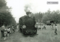 Pocztówka - Parowóz wąskotorowy Px29-1704 - Piaski Królewskie 1984 r.